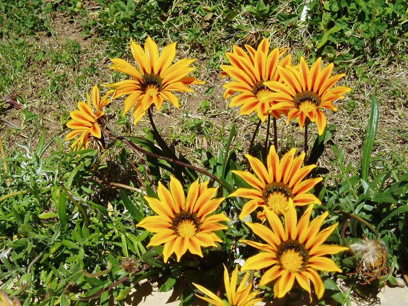 Foto de Oruro, Bolivia