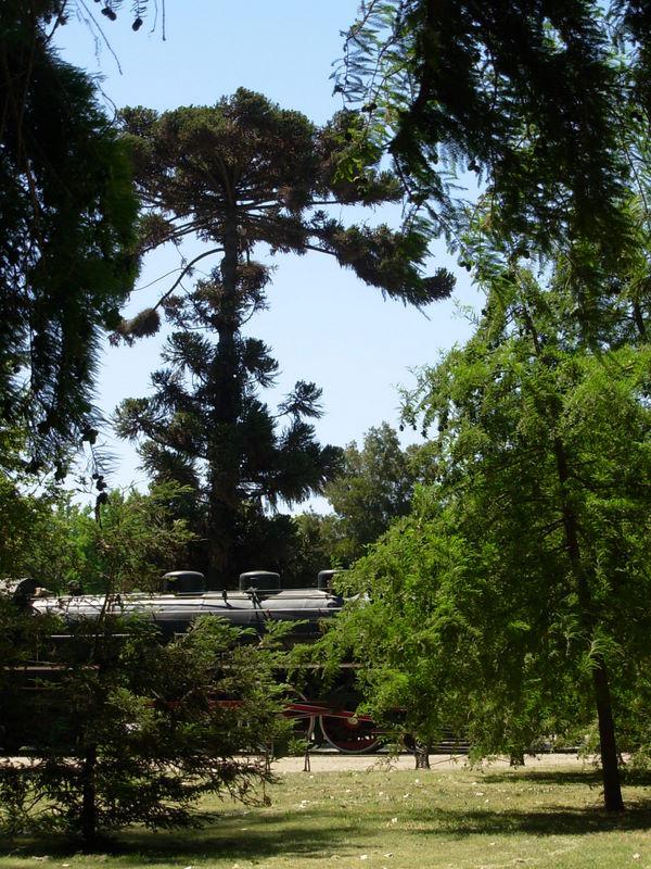 Foto de Santiago, Chile