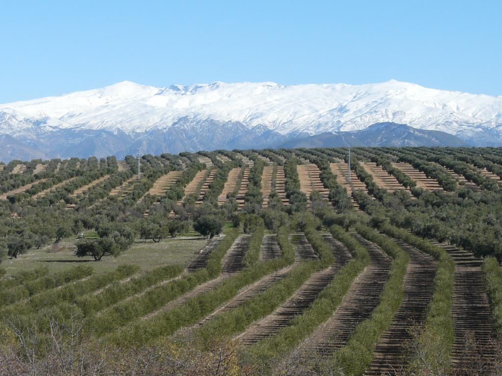 Foto de Escúzar (Granada), España