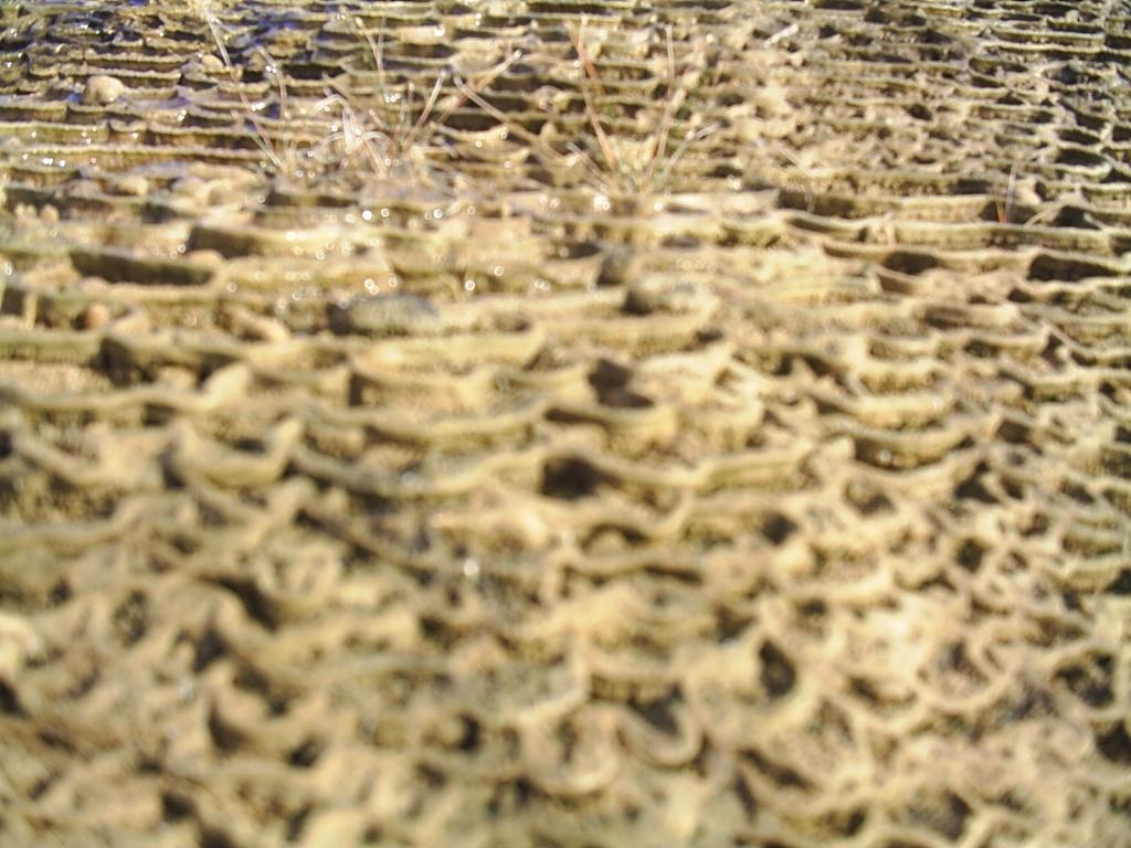 Foto de La Mesa de Veraguas, Panamá