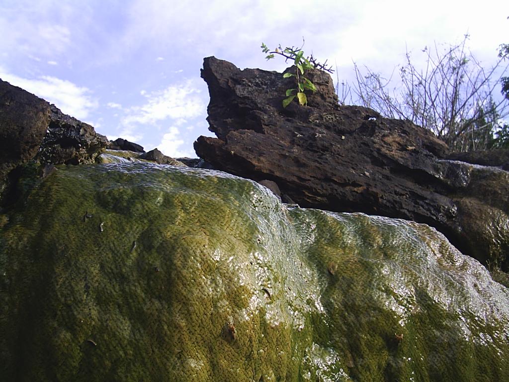 Foto de La Mesa de Veguas, Panamá, Panamá