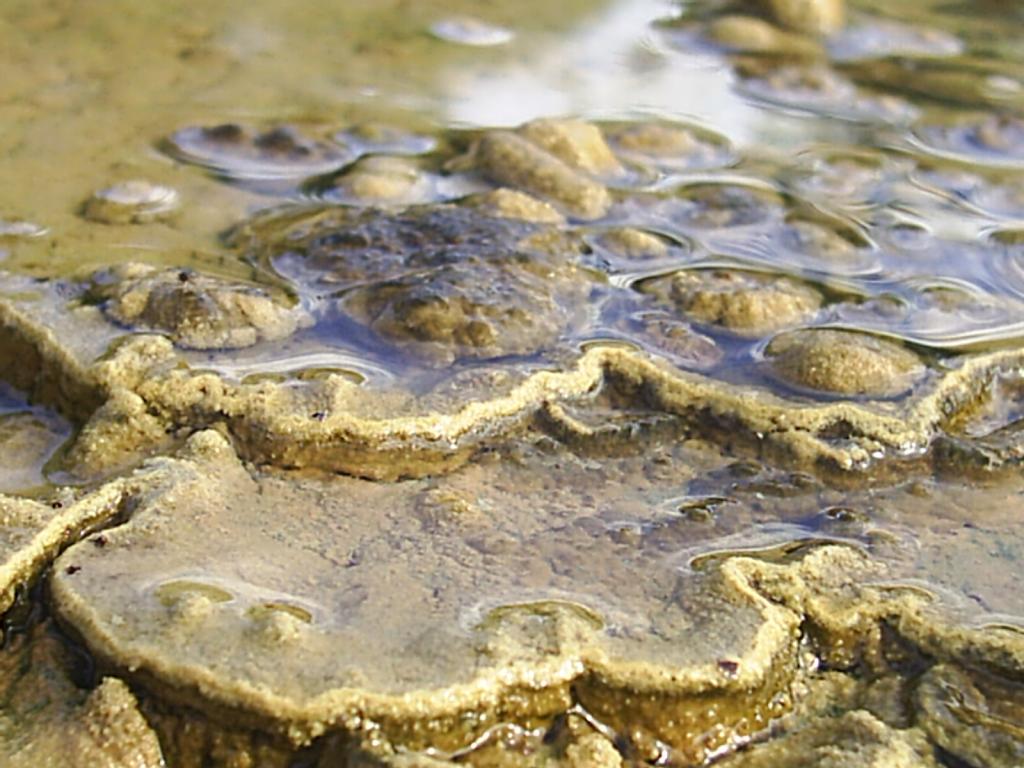 Foto de La Mesa de Veraguas, Panamá