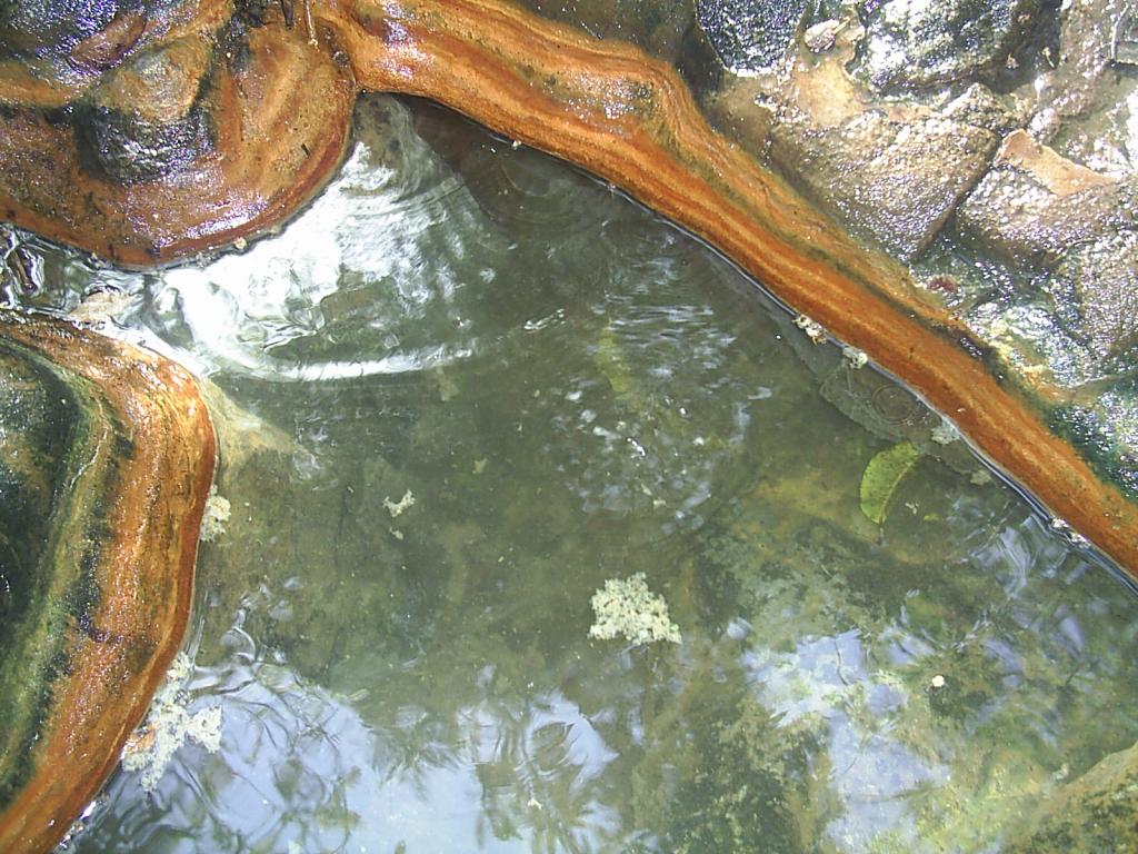 Foto de La Mesa de Veraguas, Panamá