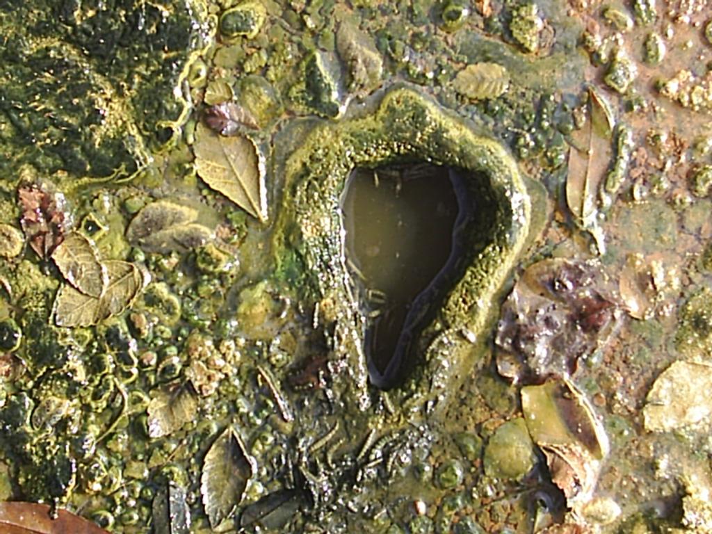 Foto de La Mesa de Veraguas, Panamá