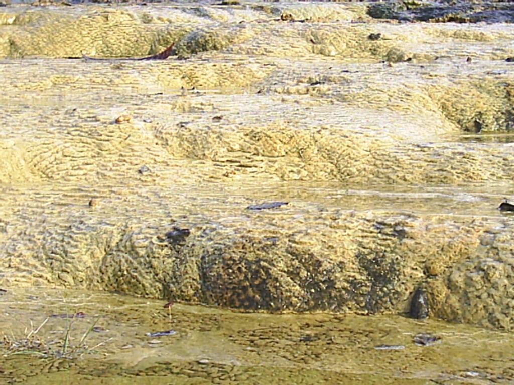 Foto de La Mesa de Veraguas, Panamá