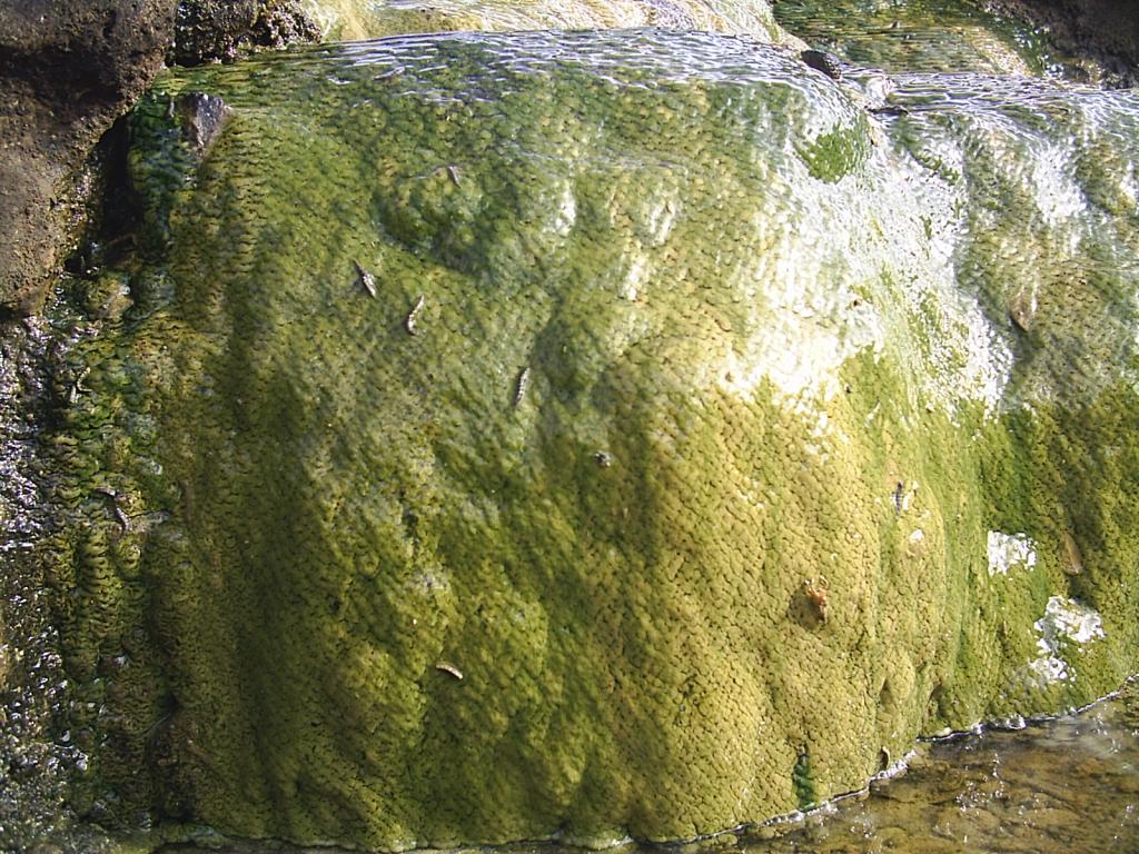 Foto de La Mesa de Veraguas, Panamá