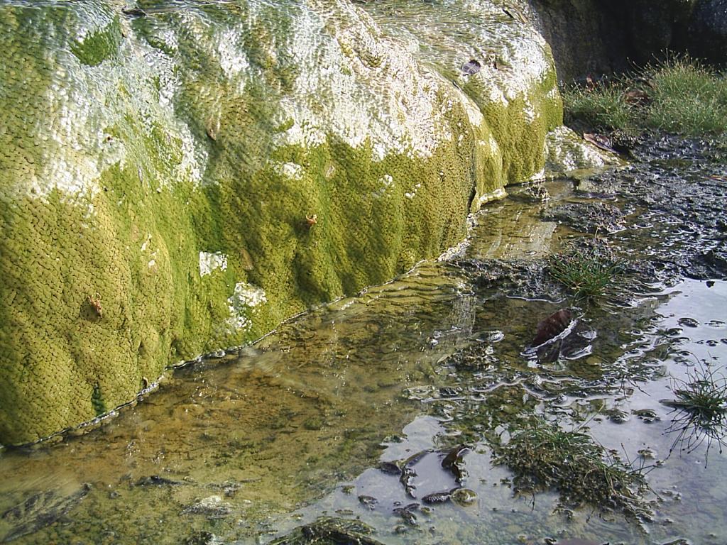 Foto de La Mesa de Veraguas, Panamá