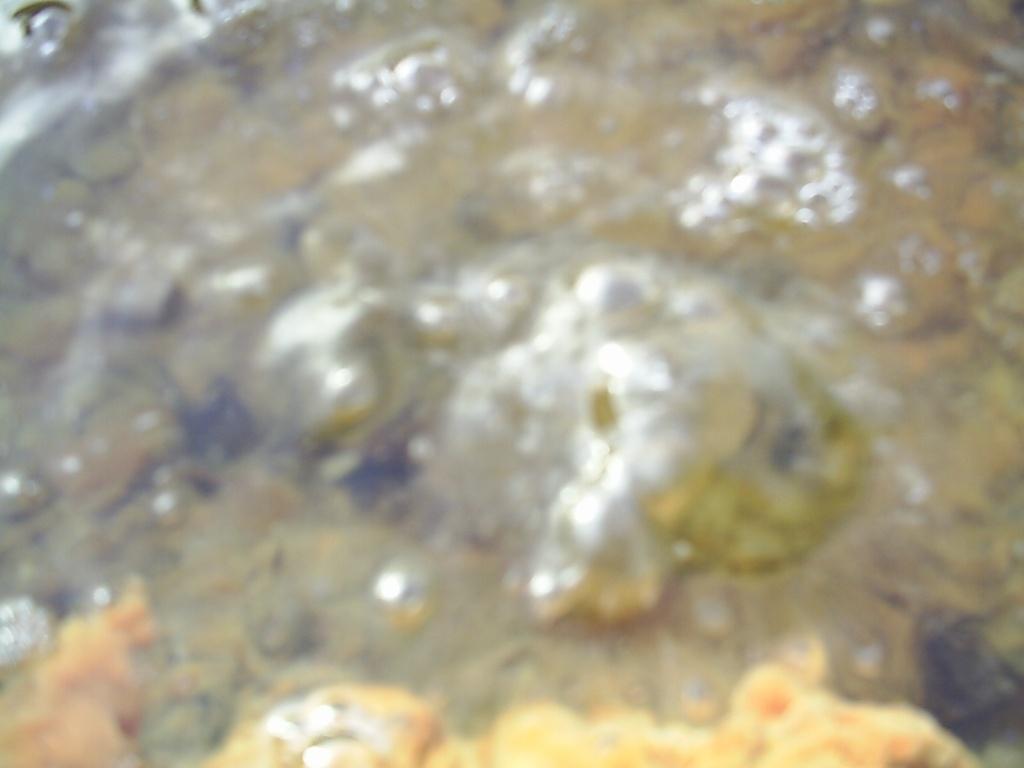 Foto de La Mesa de Veraguas, Panamá