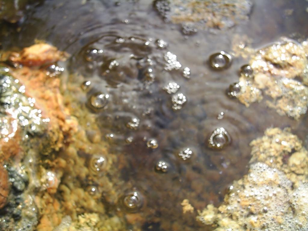 Foto de La Mesa de Veraguas, Panamá