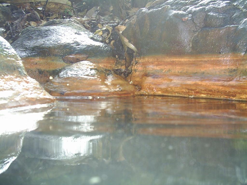 Foto de La Mesa de Veraguas, Panamá