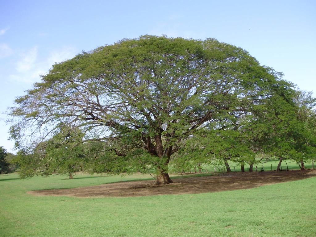 Foto de Guanacaste, Costa Rica