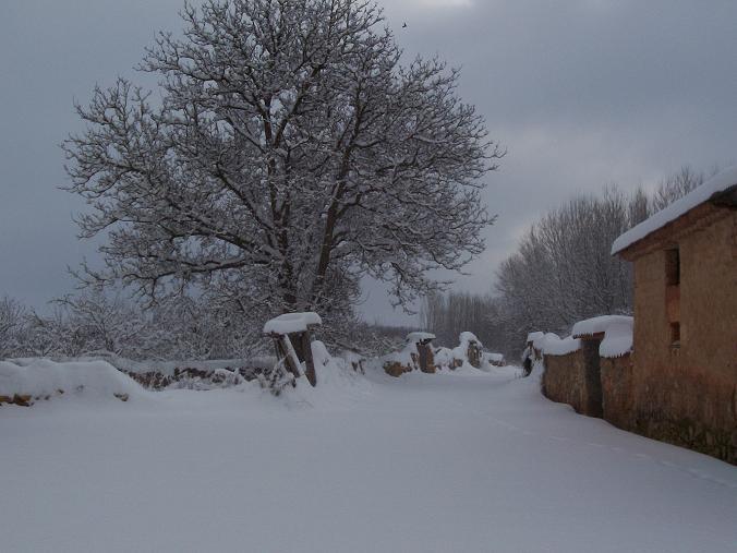 Foto de Alcoba de la Torre (Soria), España