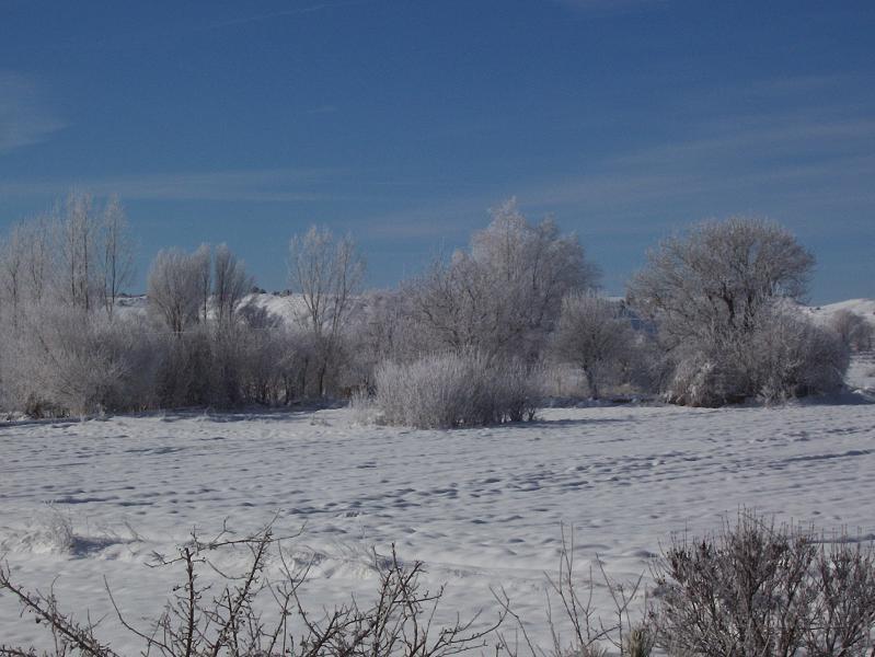 Foto de Alcoba de la Torre (Soria), España