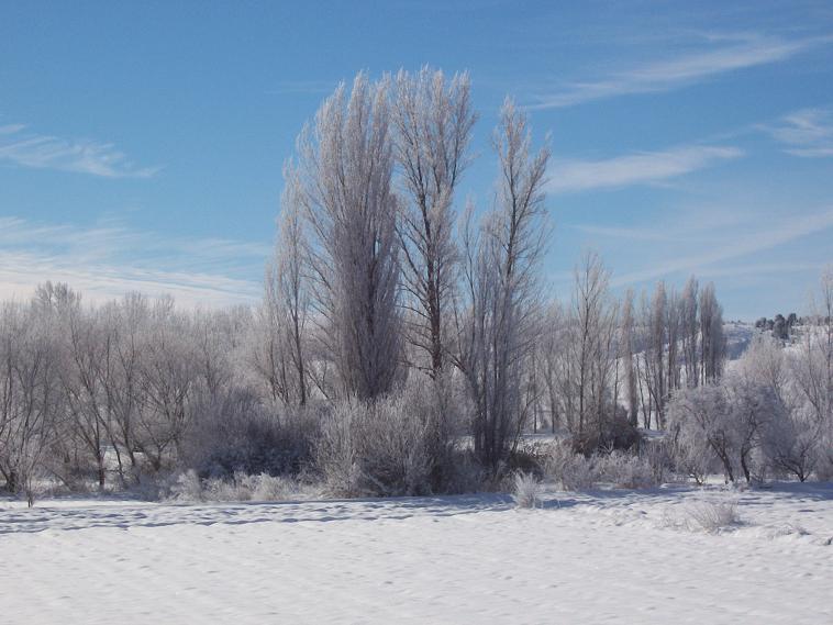 Foto de Alcoba de la Torre (Soria), España