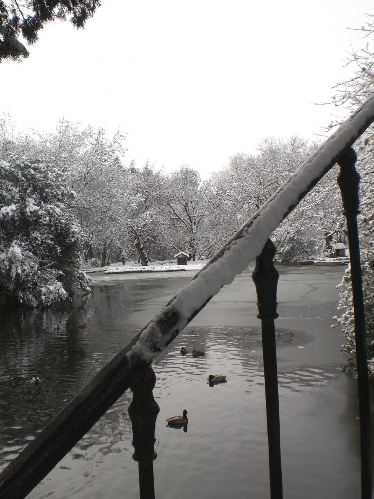 Foto de Madrid (Comunidad de Madrid), España