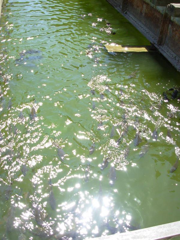 Foto de Santiago, Chile