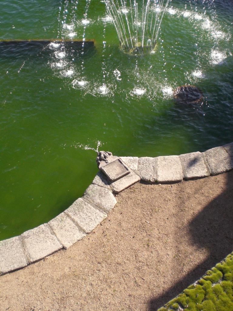 Foto de El Pardo (Madrid), España