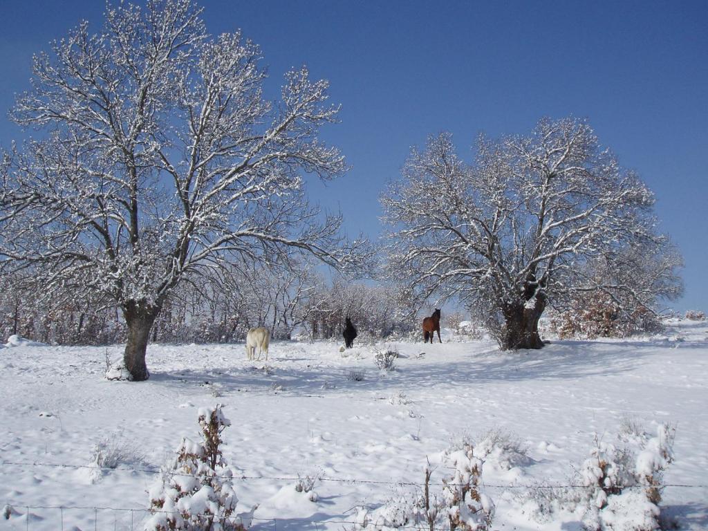 Foto de Sotosalbos (Segovia), España