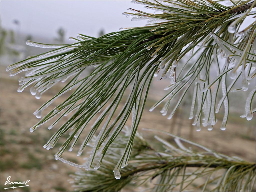 Foto de Zaragoza (Aragón), España