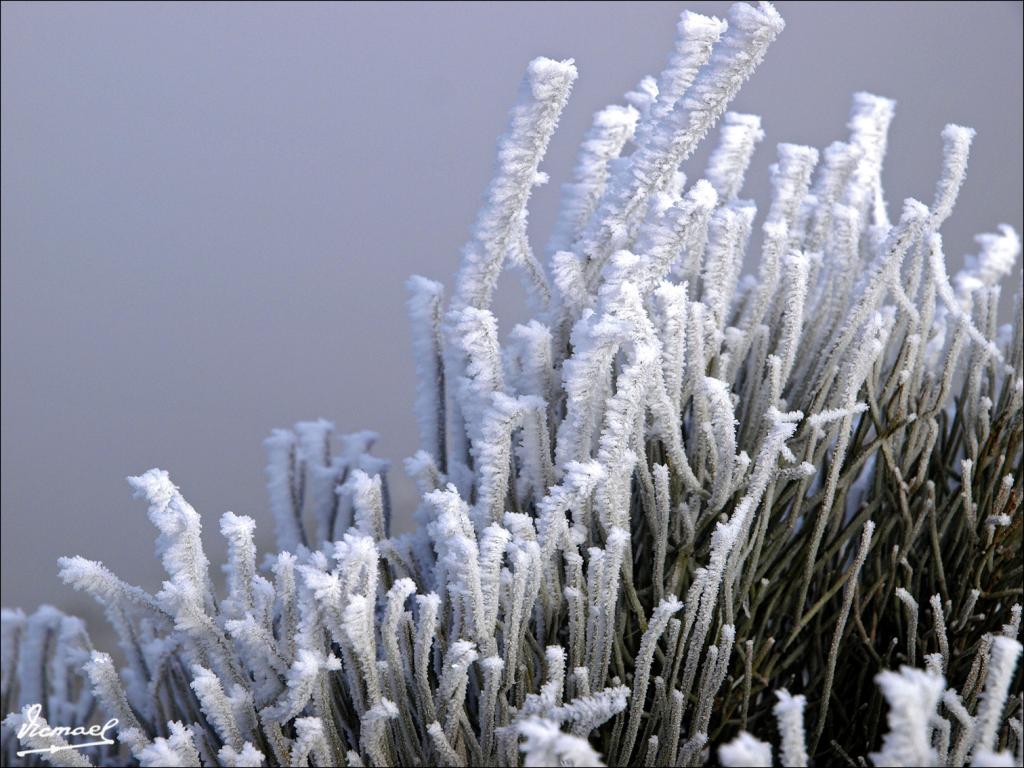 Foto de La Muela (Zaragoza), España