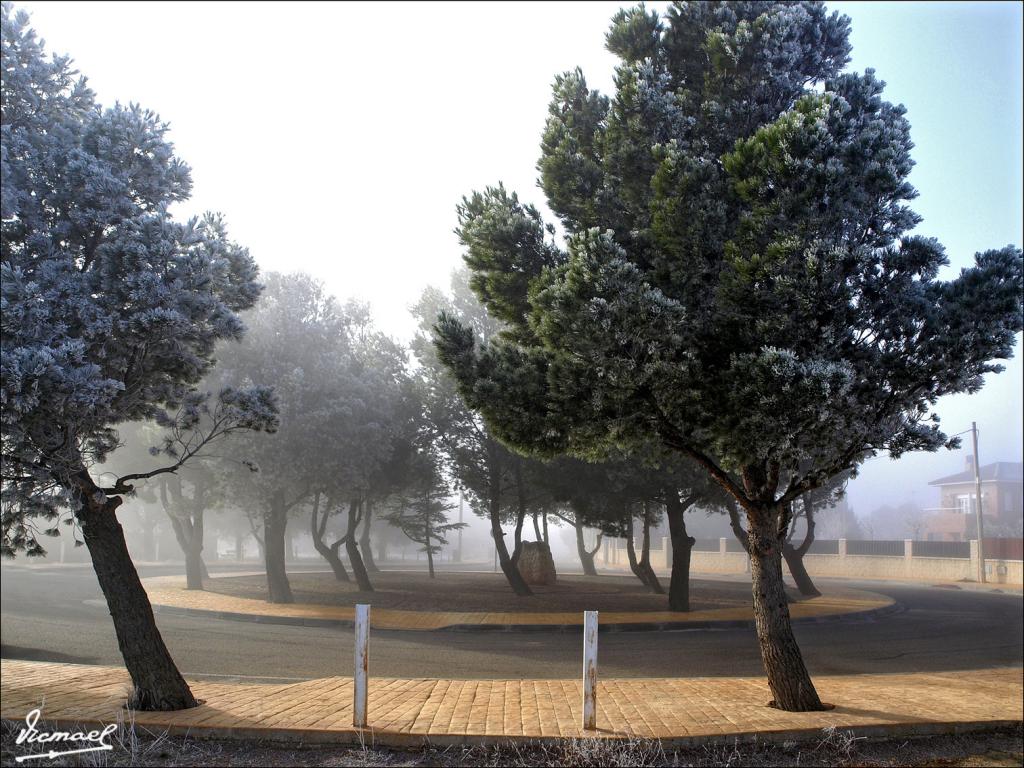 Foto de La Muela (Zaragoza), España