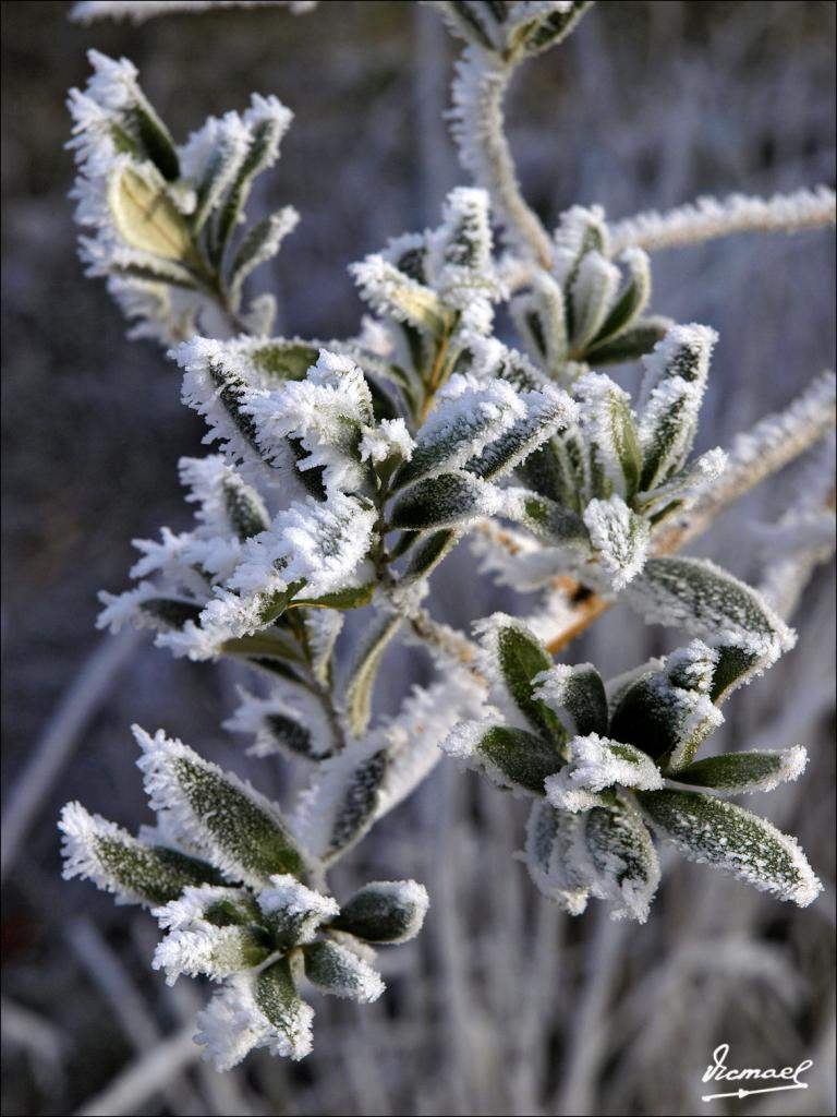 Foto de La Muela (Zaragoza), España