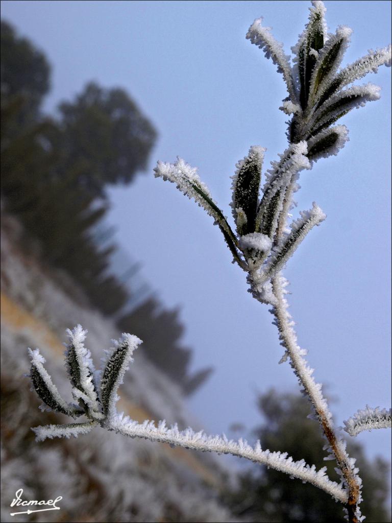 Foto de La Muela (Zaragoza), España