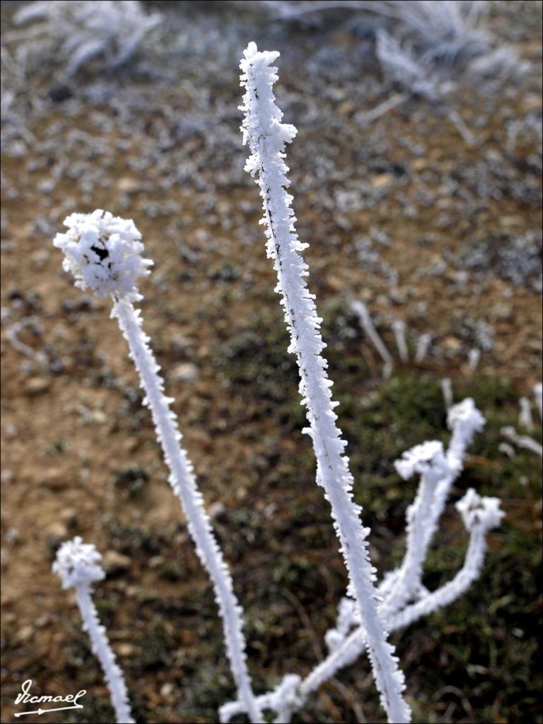 Foto de La Muela (Zaragoza), España