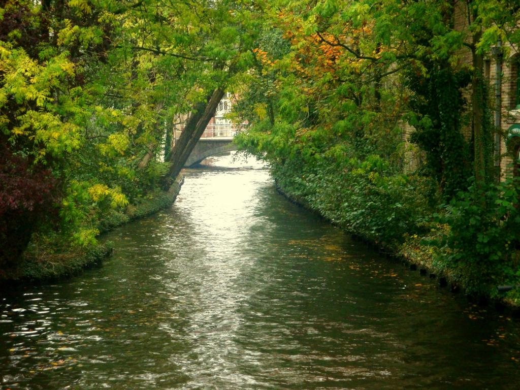 Foto de Brujas, Bélgica