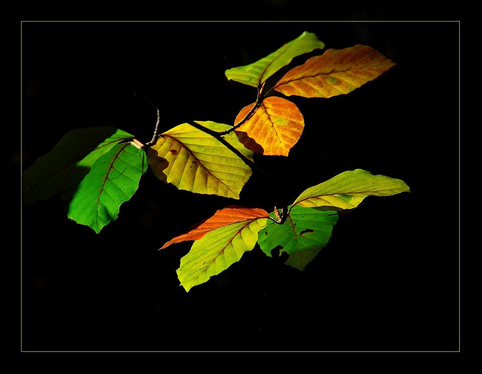 Foto de Barcelona (Cataluña), España