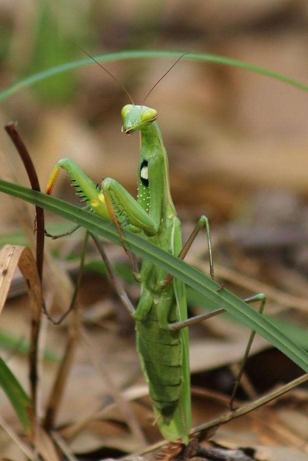 Foto de Barcelona (Cataluña), España