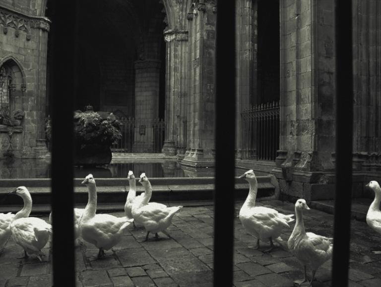 Foto de Barcelona (Cataluña), España