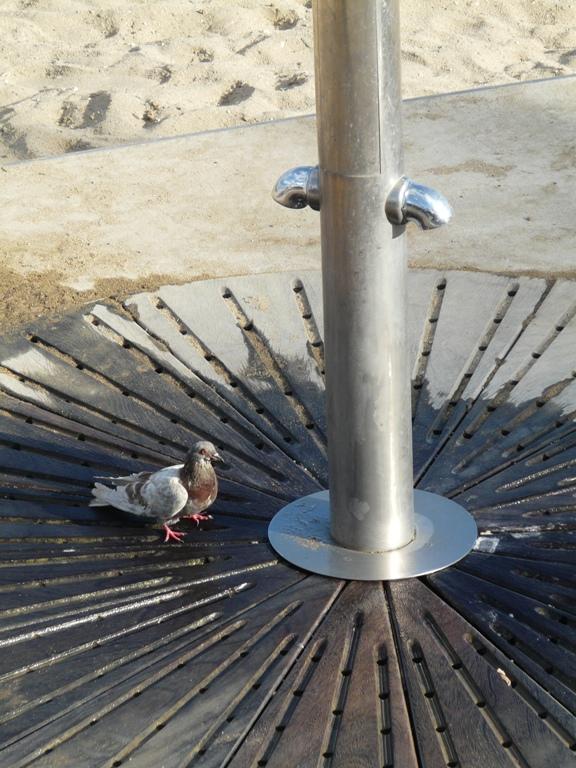 Foto de Barcelona (Cataluña), España