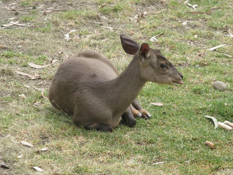 Foto de La Paz, Bolivia