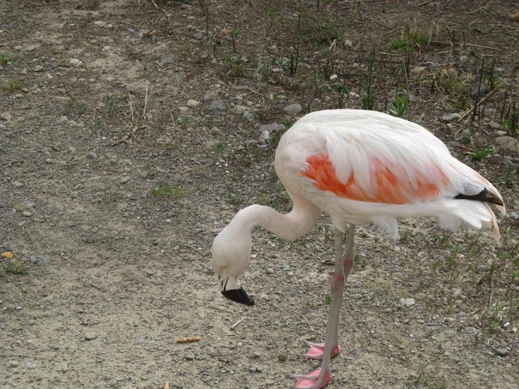 Foto de La Paz, Bolivia