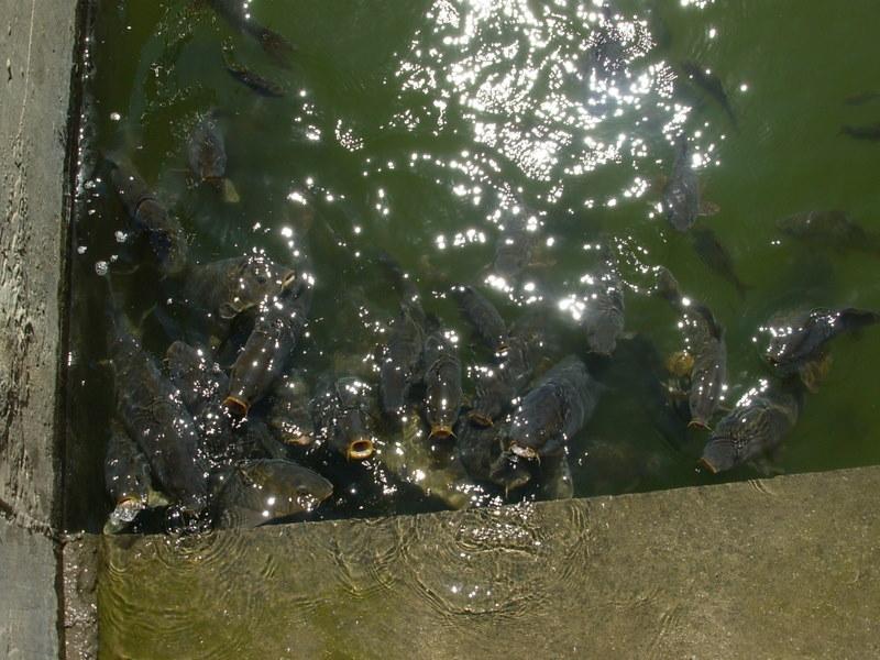 Foto de Santiago, Chile