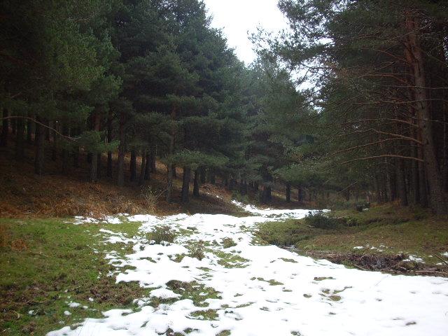 Foto de Ortigosa del Monte (Segovia), España