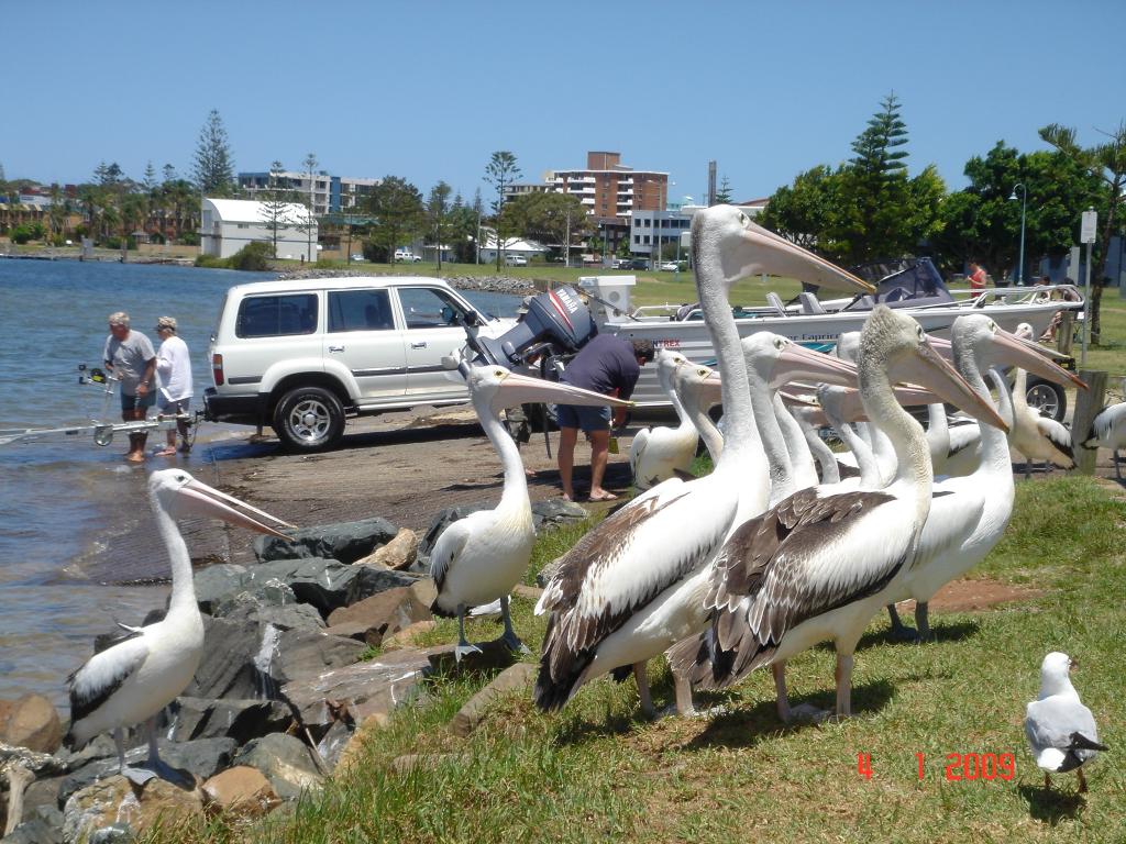 Foto de Port Macquarie, Australia
