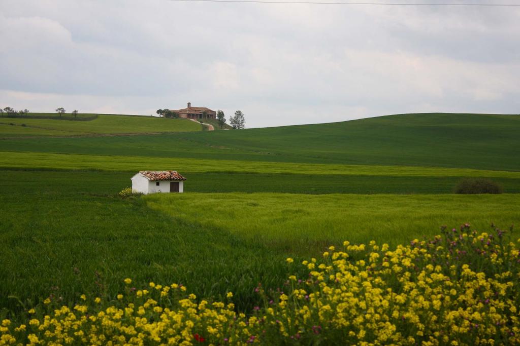 Foto de Becerril de Campos (Palencia), España