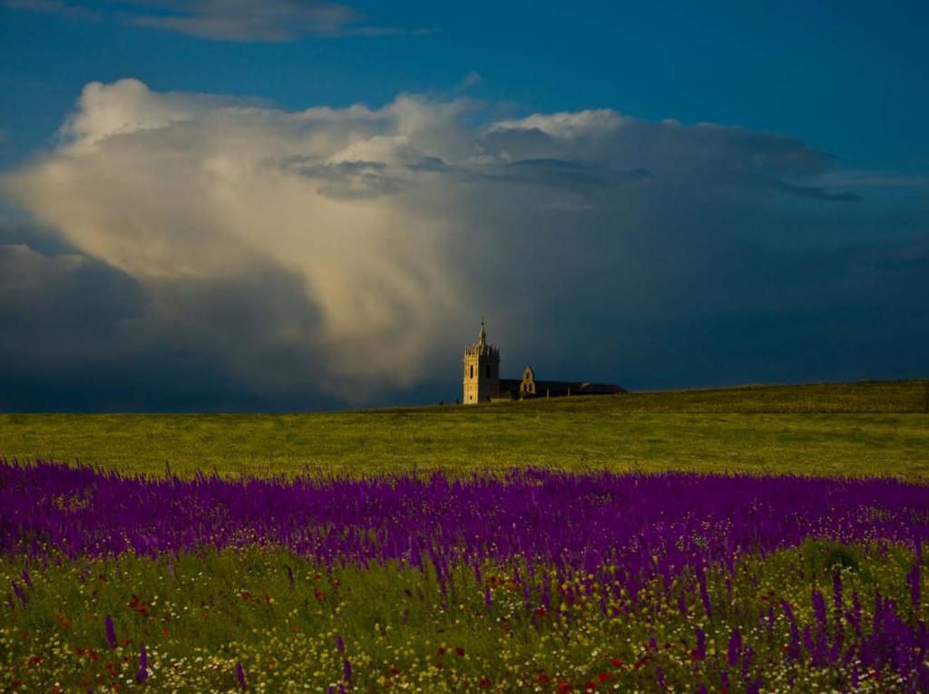 Foto de Támara (Palencia), España