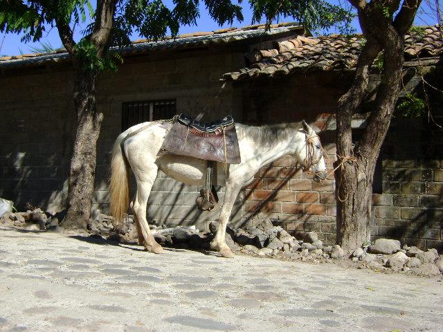 Foto de San Jose, Honduras