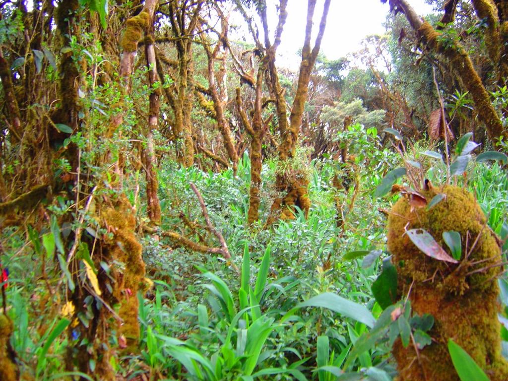 Foto de Ciénega (Boyacá), Colombia