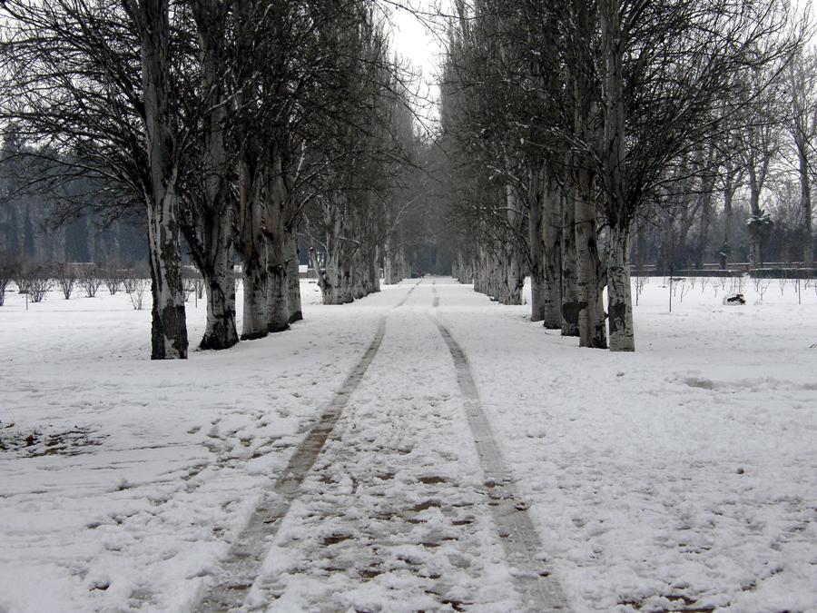 Foto de Aranjuez (Madrid), España