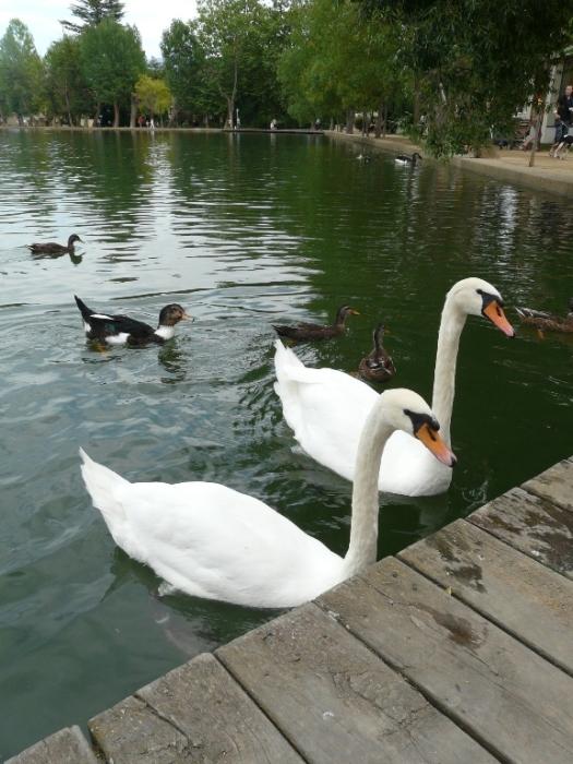 Foto de Puigcerdà (Girona), España