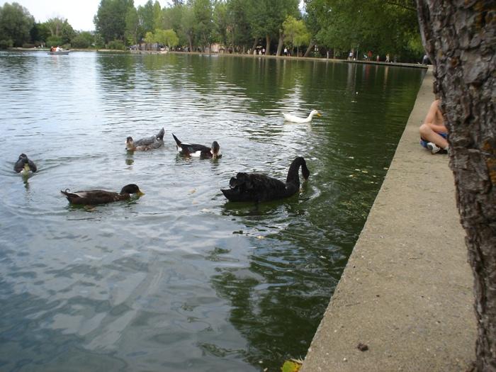 Foto de Puigcerdà (Girona), España