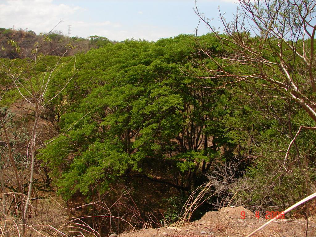 Foto de Esparza, Costa Rica