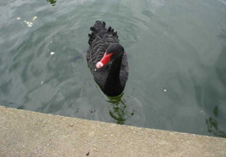 Foto de Puigcerdà (Girona), España