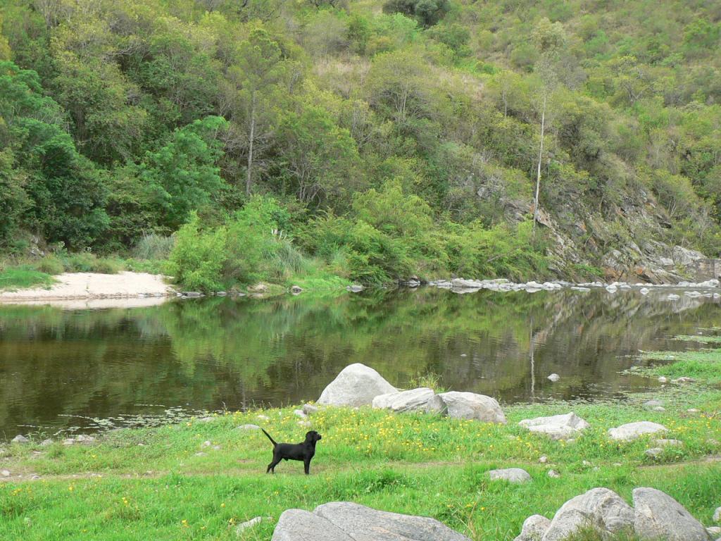 Foto de La Serranita (Cordoba), Argentina