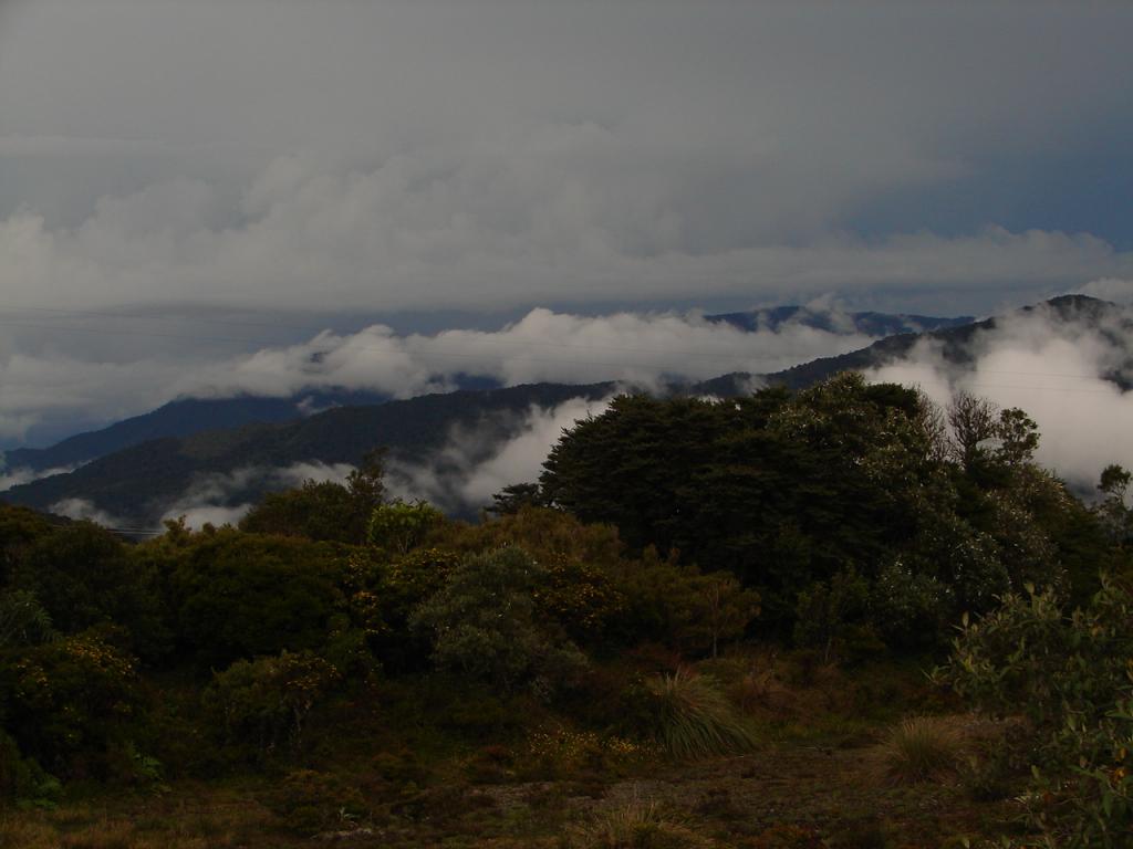 Foto de Perez Zeledon (San José), Costa Rica