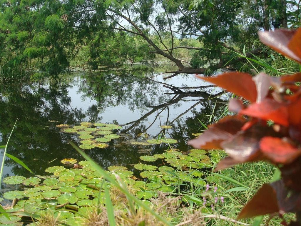Foto de Chanchamayo, Perú